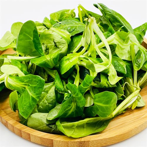 Salade